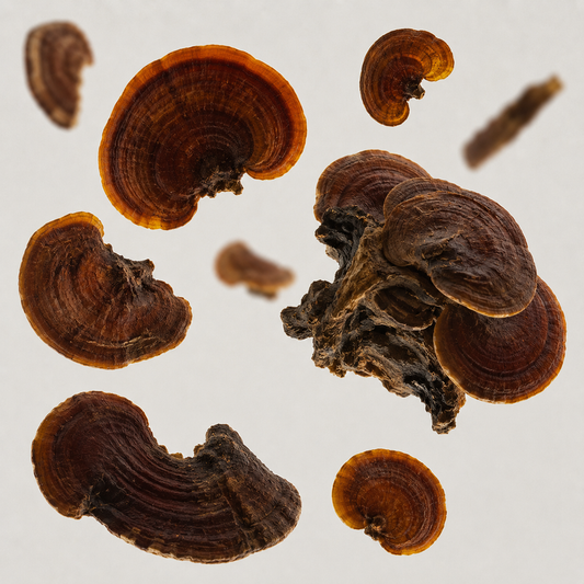 Reishi + Oud