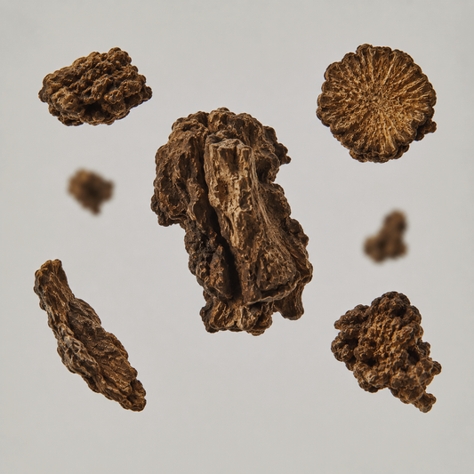 Chaga + Yuzu